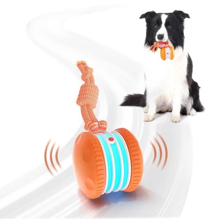 🐶The Clinclii™ – Keep Your Pet Relaxed, Happy & Content 🐾