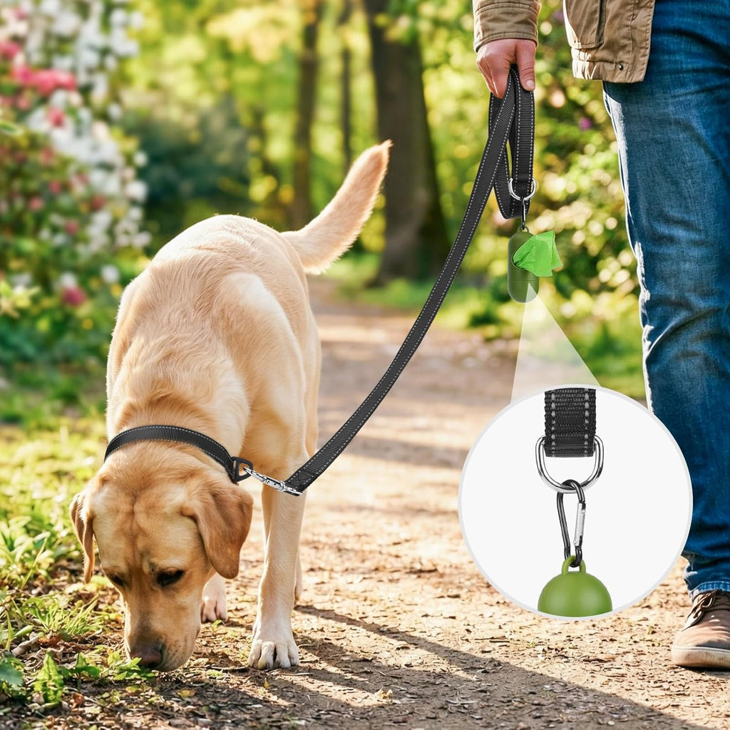 Dog Leash, 6 FT Double-Sided Reflective, Padded Handle Nylon Heavy Duty Leashes for Medium & Large Dogs Walking, Black