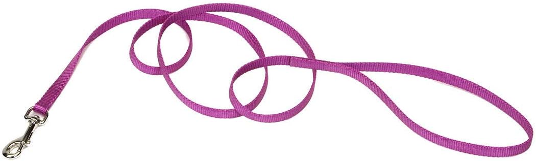 Pet Single-Ply Dog Leash - Sturdy Pet Leash - Comfortable & Stylish - Resists Fraying - Vibrant & Fade-Resistant Color - Orchid, 3/8" x 6'