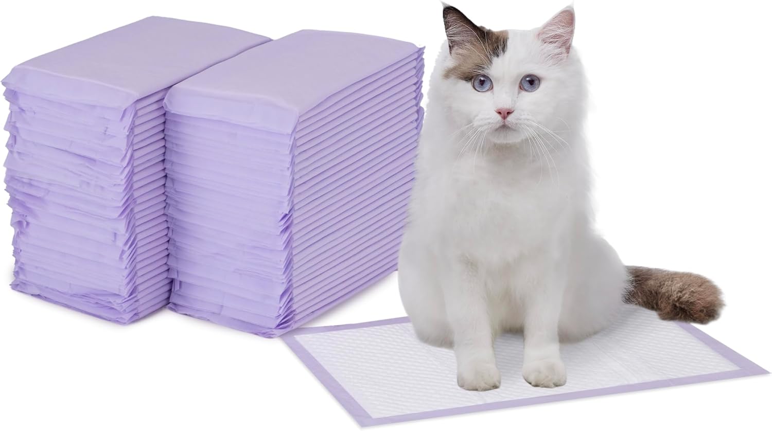 Basics Cat Pee Pads, Odor Control, Super Absorbent, Disposable, Universal Fit for Litter Box, Unscented, Multi Cat, White/Purple, 60 Count
