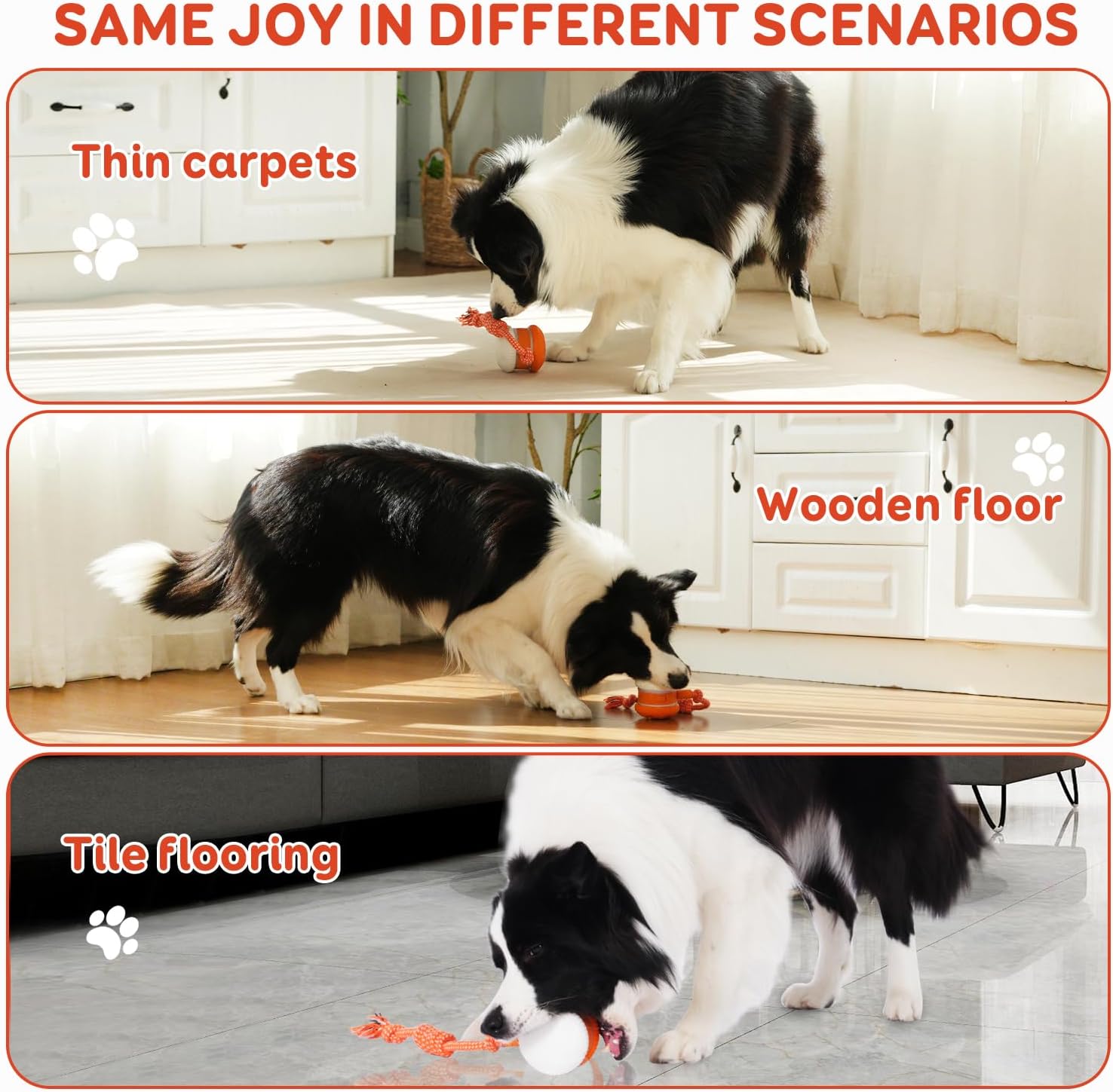 🐶The Clinclii™ – Keep Your Pet Relaxed, Happy & Content 🐾