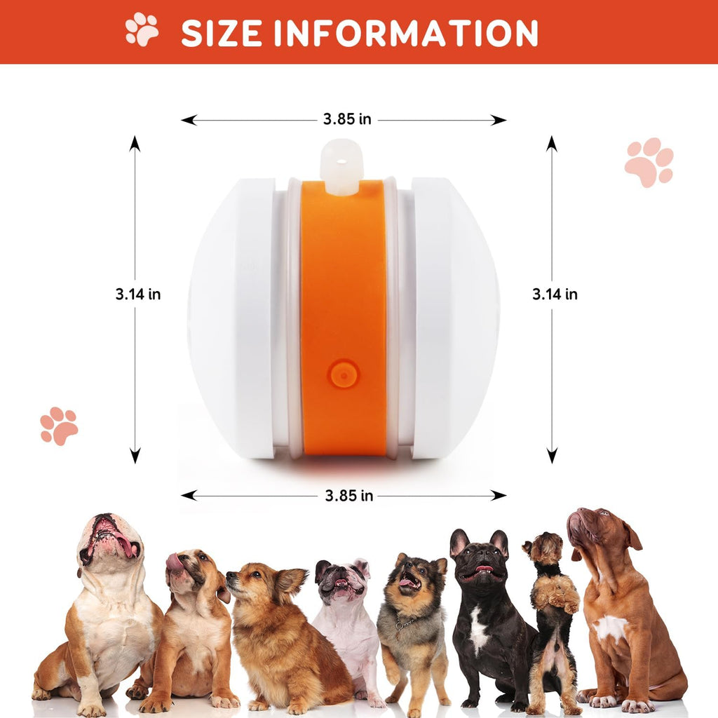 🐶The Clinclii™ – Keep Your Pet Relaxed, Happy & Content 🐾