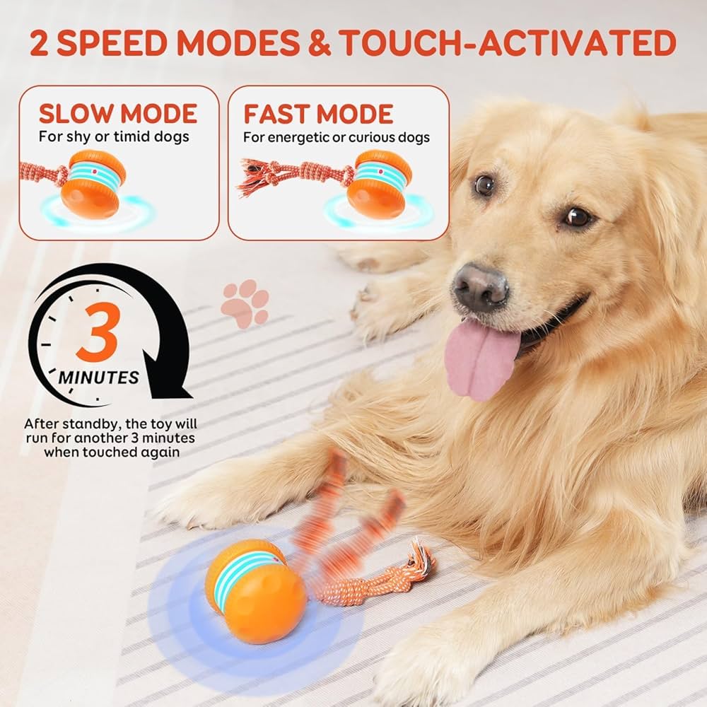 🐶The Clinclii™ – Keep Your Pet Relaxed, Happy & Content 🐾