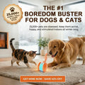 🐶The Clinclii™ – Keep Your Pet Relaxed, Happy & Content 🐾