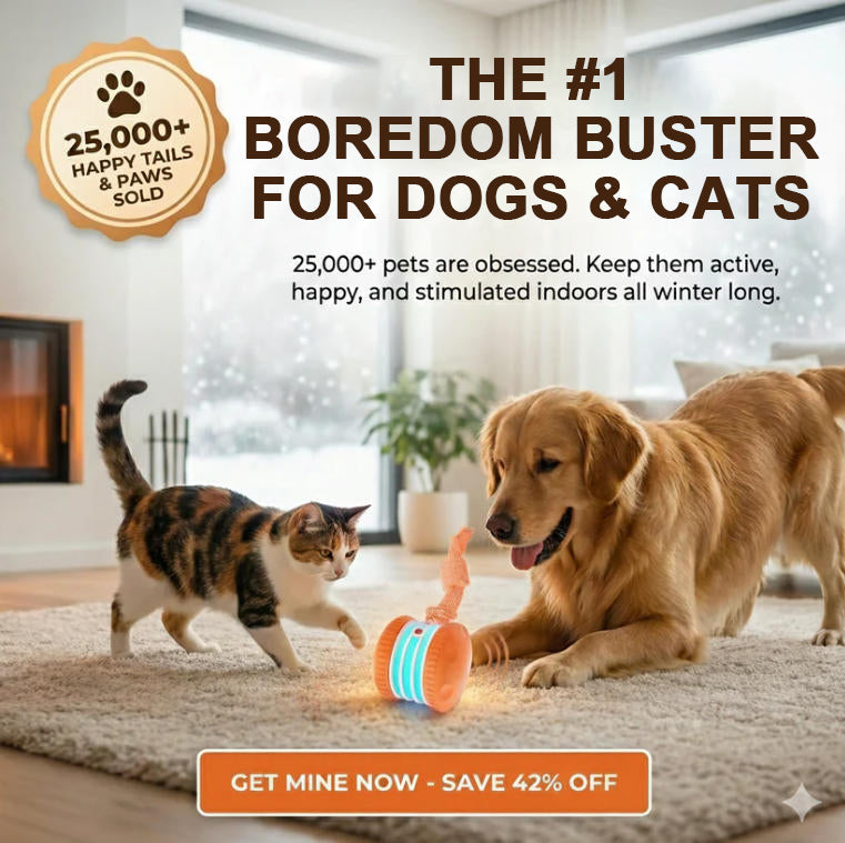 🐶The Clinclii™ – Keep Your Pet Relaxed, Happy & Content 🐾