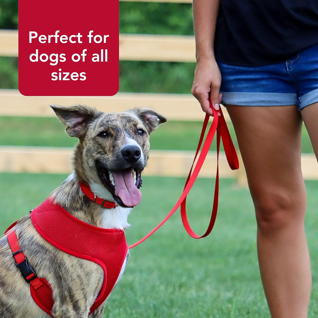 Pet Single-Ply Dog Leash - Sturdy Pet Leash - Comfortable & Stylish - Resists Fraying - Vibrant & Fade-Resistant Color - Orchid, 3/8" x 6'